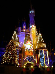 �t���[��