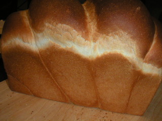 �t���[��