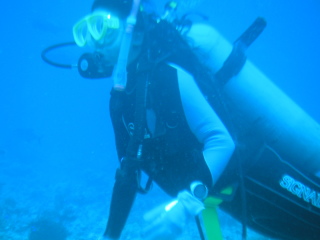 �t���[��