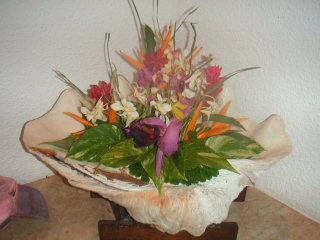 �t���[��