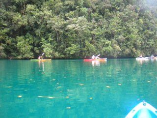 �t���[��