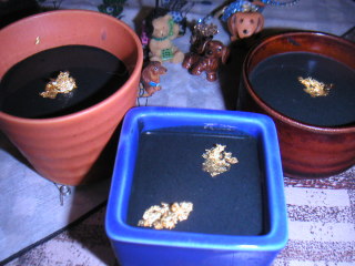 �t���[��