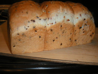 �t���[��