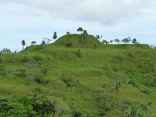 �t���[��