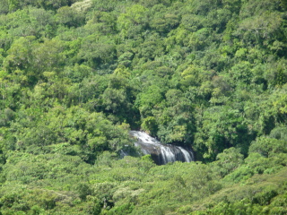 �t���[��