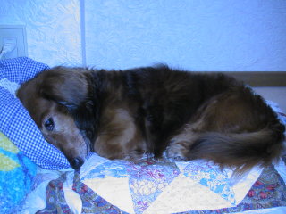 �t���[��