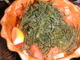 �t���[��