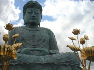 �t���[��