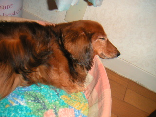 �t���[��