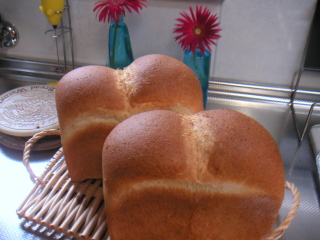 �t���[��