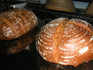 �t���[��