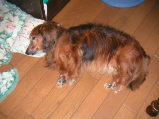 �t���[��