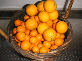 �t���[��