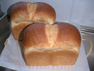 �t���[��