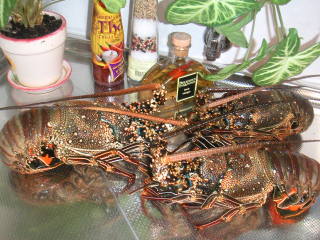 �t���[��