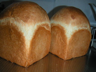 �t���[��